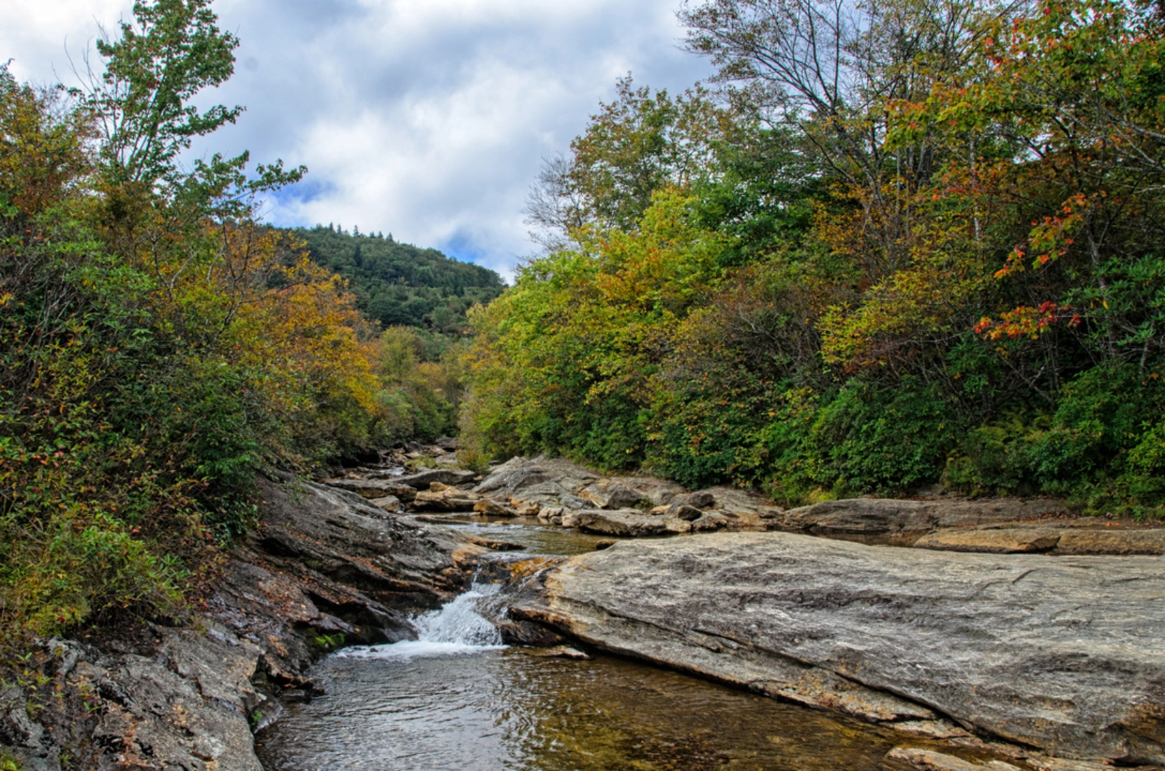 An image depicting the trail Bridges Camp Gap Trail and its surrounding area.