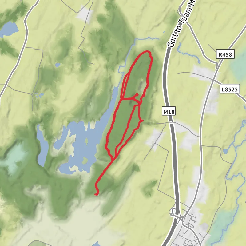 Hike from Galway mobile static map