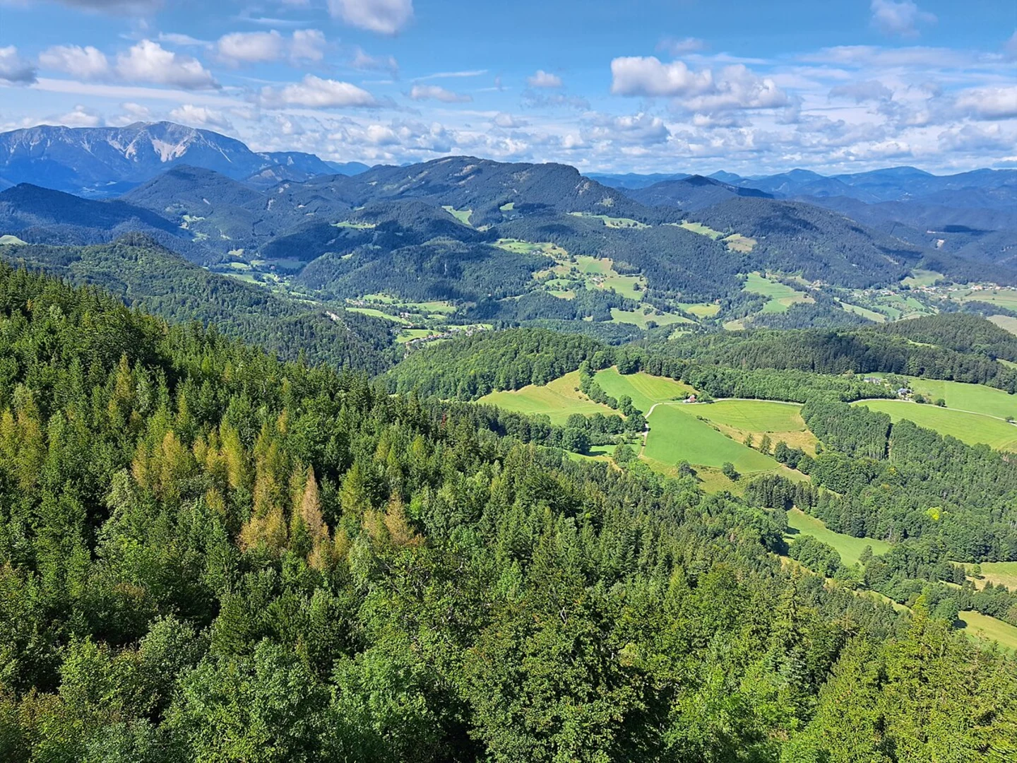 An image depicting the trail Hohe Wand Loop via Labertalstraße and its surrounding area.