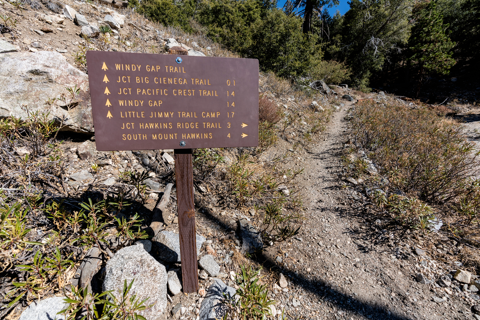 An image depicting the trail South Mount Hawkins from Vincent Gap and its surrounding area.