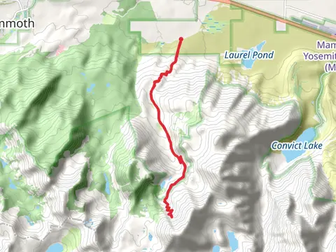 Walk along Laurel Creek