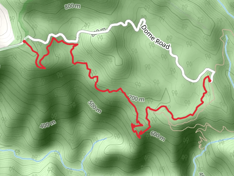 Blackbutt Track