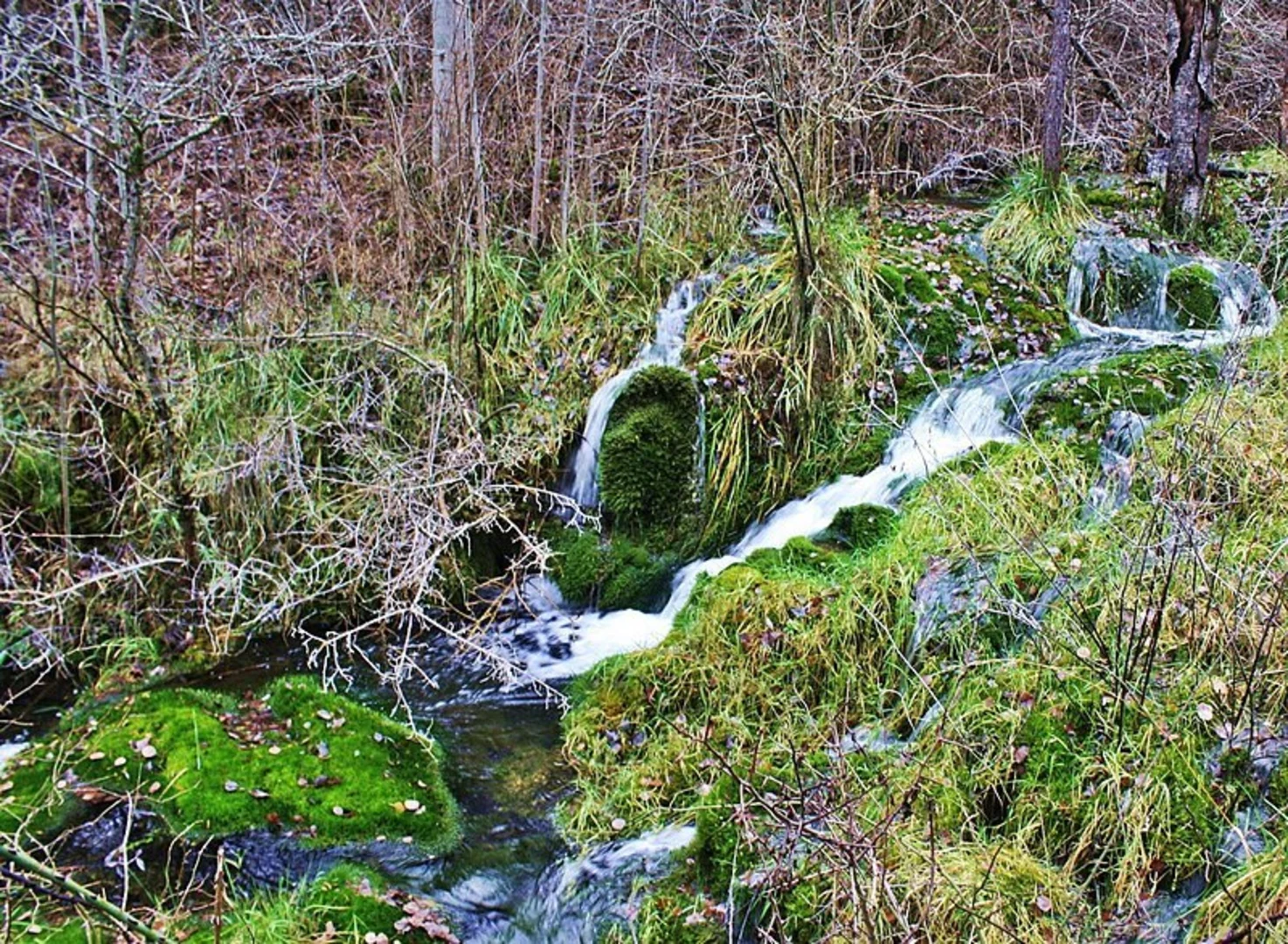 An image depicting the trail San Blas -San Felipe -Rio Cuervo PR CU 79 and its surrounding area.