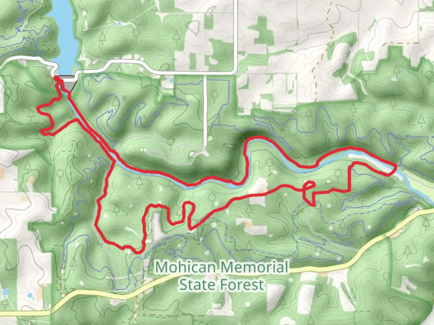 An image depicting the trail Lyons Falls Trail and Hemlock Gorge Loop Trail and its surrounding area.
