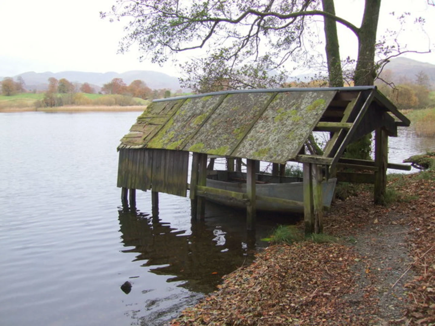 An image depicting the trail Blelham Tarn, Loanthwaite Coppice and Lily Pond Loop and its surrounding area.
