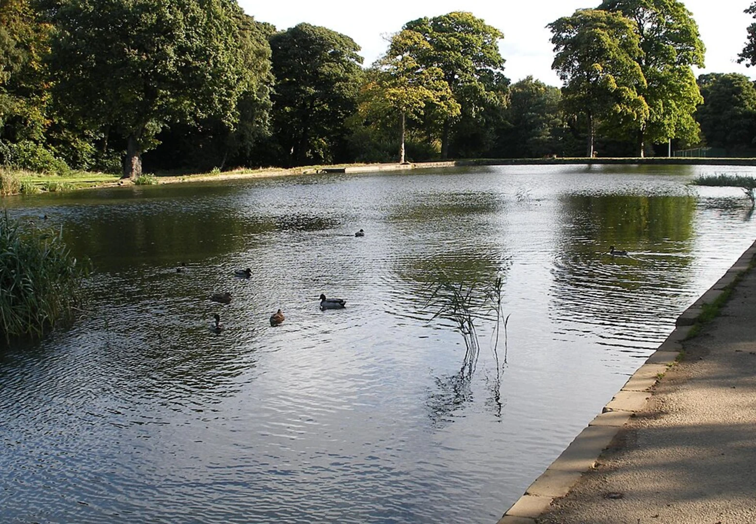 An image depicting the trail Middleton Park Short Loop - Park Halt and its surrounding area.