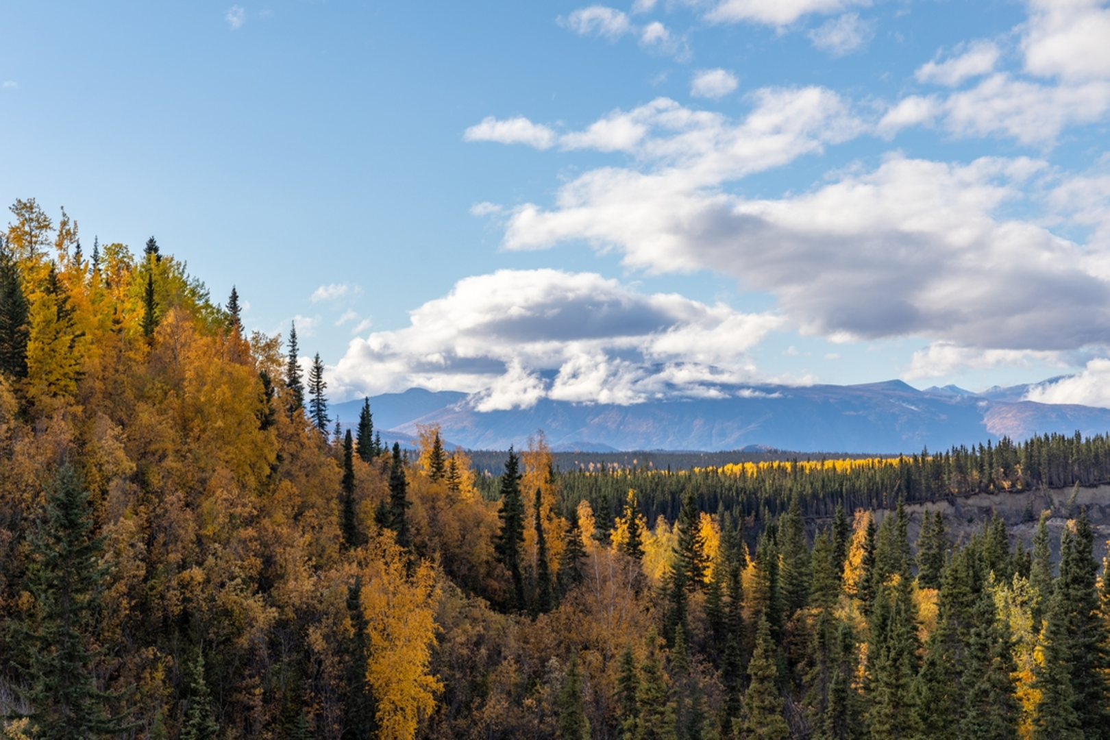 An image depicting the trail Copper River Bluff Trail and its surrounding area.