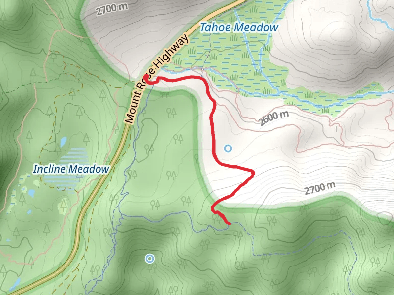 Mount Rose Highway
