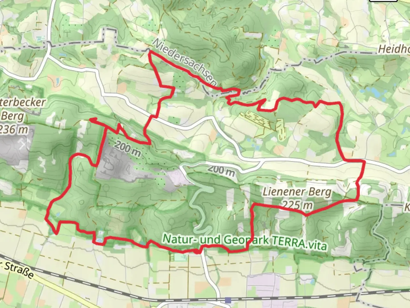 An image depicting the trail Lienener Berg, Duvensteine and Aldruper Berg Loop and its surrounding area.