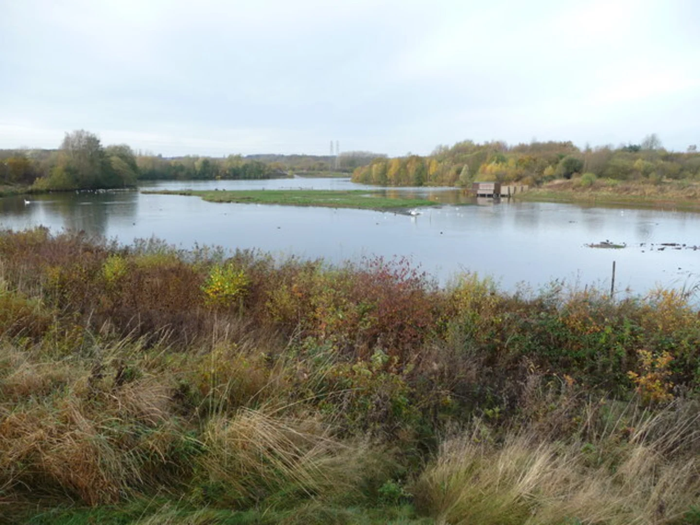 An image depicting the trail Sandwell Valley Country Park Walk and its surrounding area.