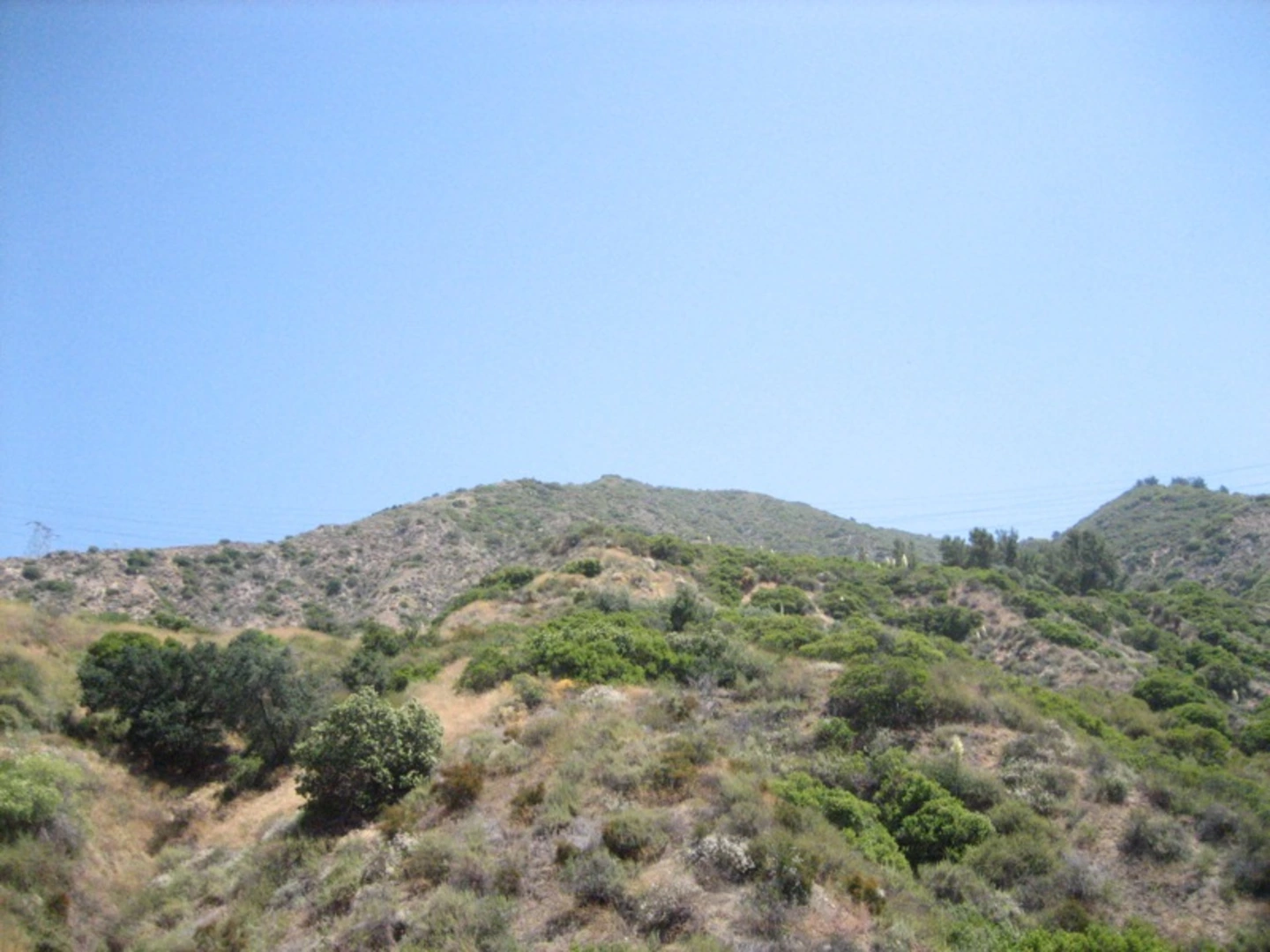 An image depicting the trail Mount Wilson Toll Road Walk and its surrounding area.