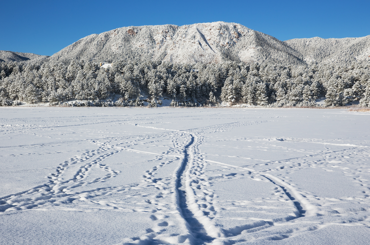 Mount Herman Trail