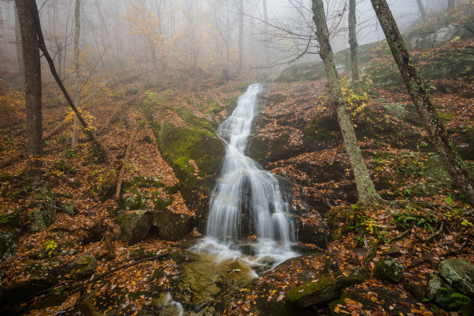An image depicting the trail Crabtree Falls Trail and its surrounding area.