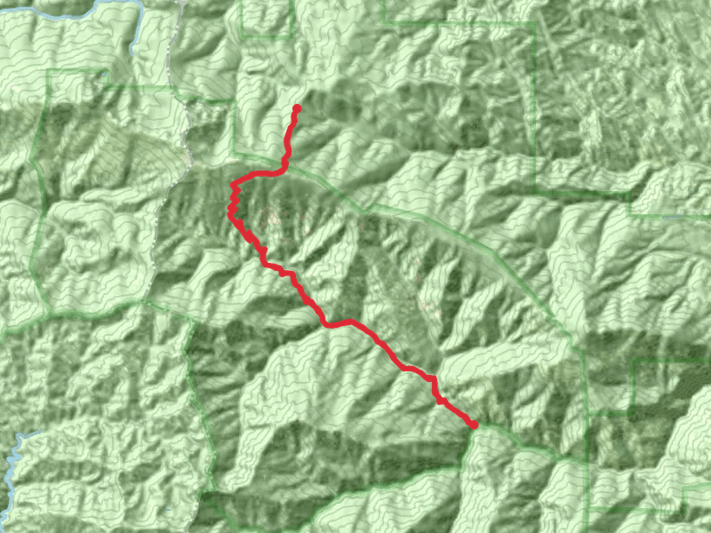 South Fork Cottonwood Creek via Cold Fork Ridge Trail