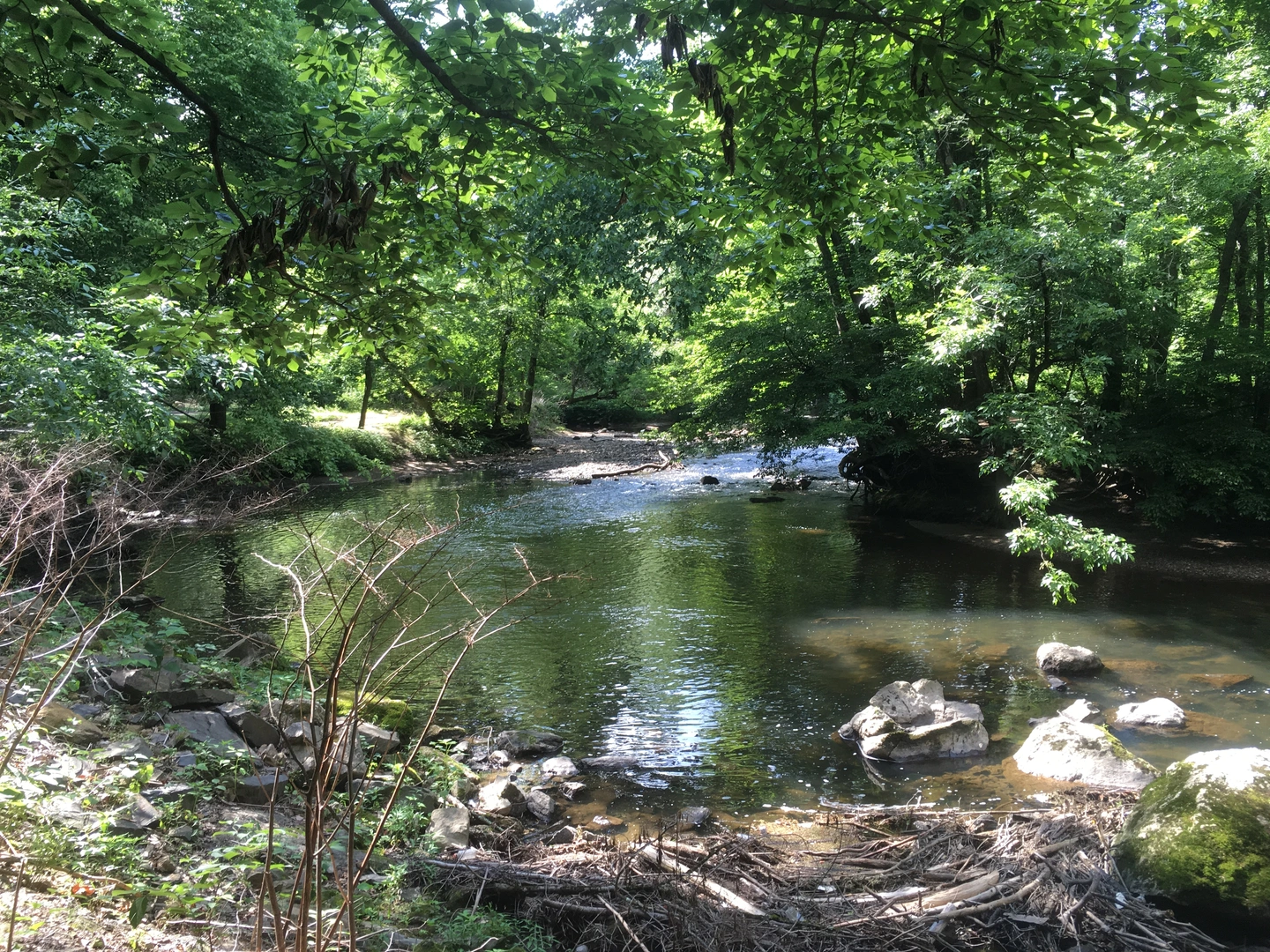 An image depicting the trail Pennypack Trail Loop and its surrounding area.