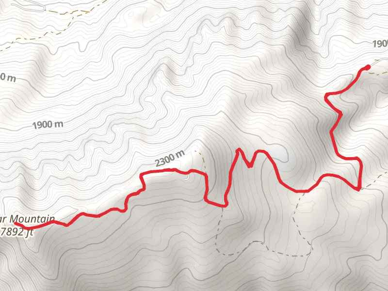 Cedar Mountain via Spirit Mountain Road