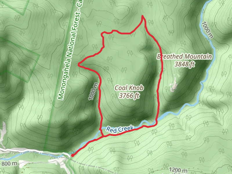 Little Stonecoal, Dunkenbarger and Big Stonecoal Loop Trail