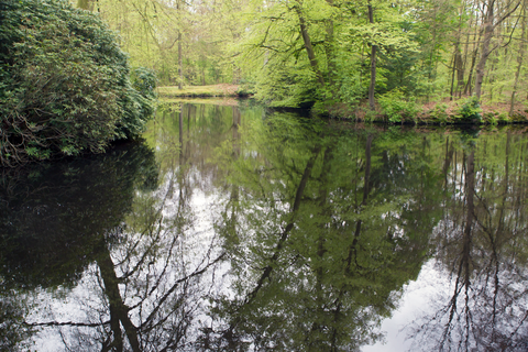 Hilversum to Pijnenburg via Kasteel Groeneveld and Maartensdijksche