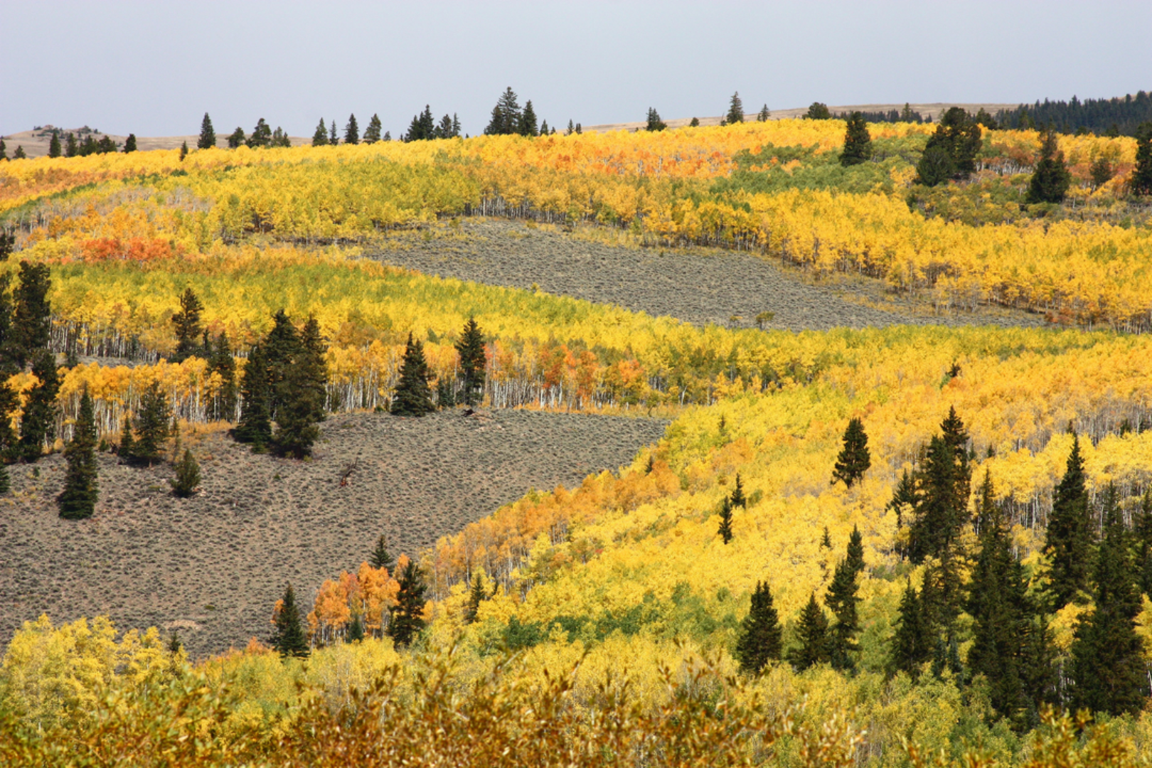 An image depicting the trail Rich Creek Trail and its surrounding area.