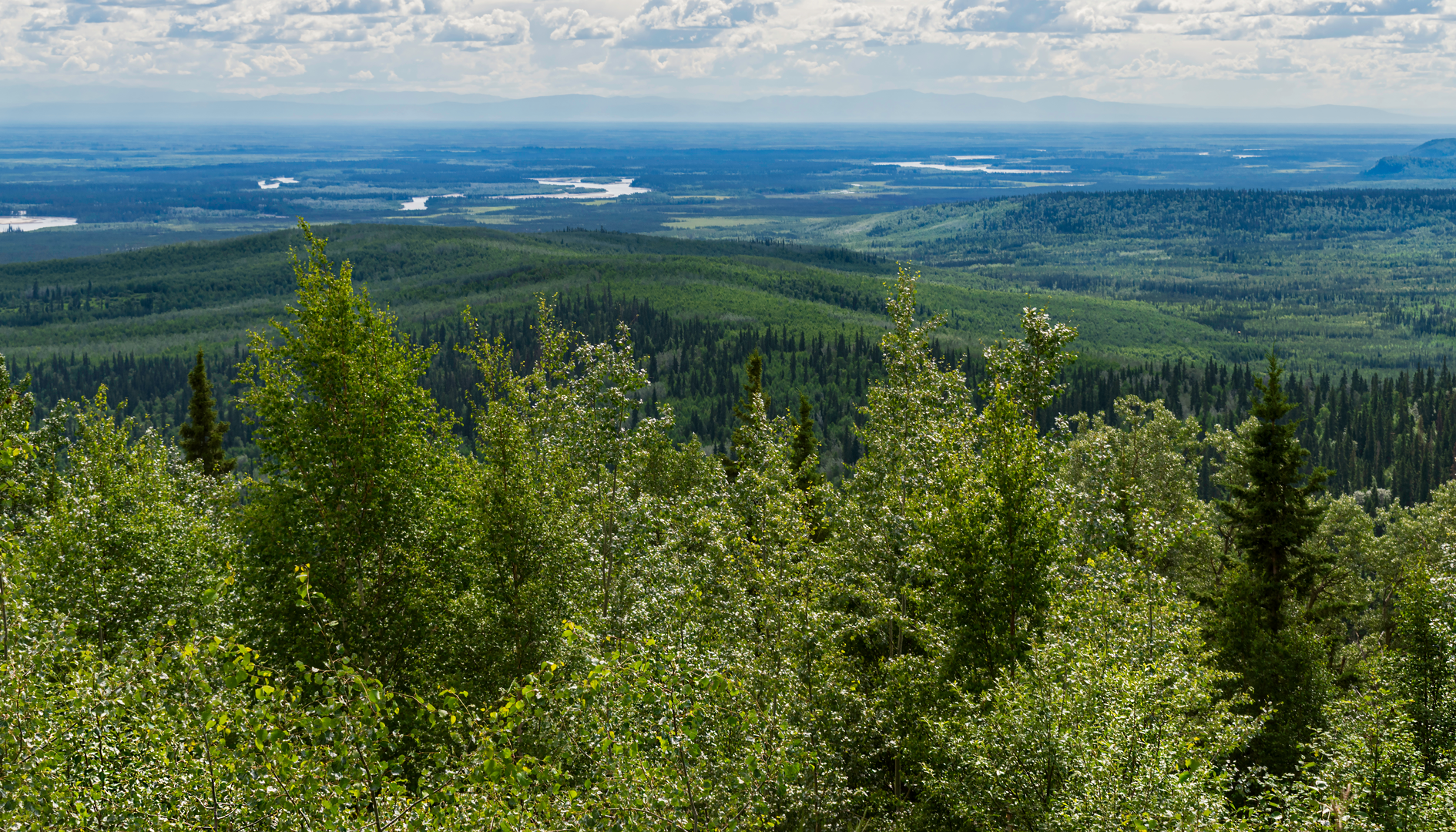 An image depicting the trail Mike Kelly Trail and its surrounding area.