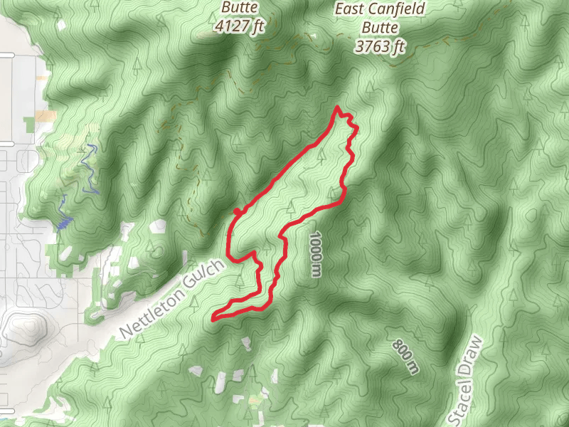Cave Trail and Trailin Trail Loop