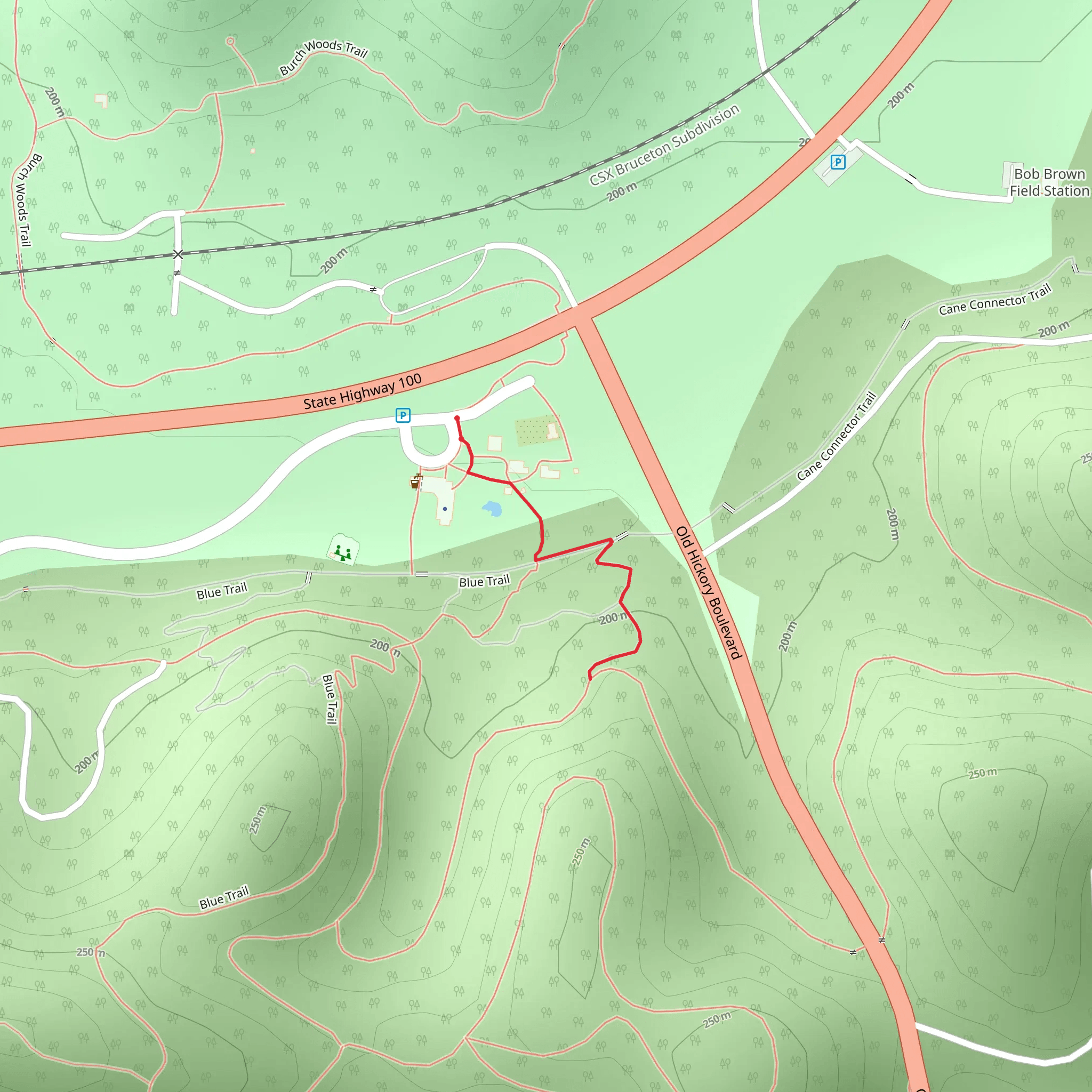 Cane Connector mobile static map