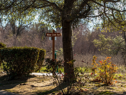 Willow Creek Trail