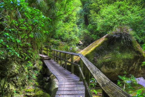 Wairere Falls Track
