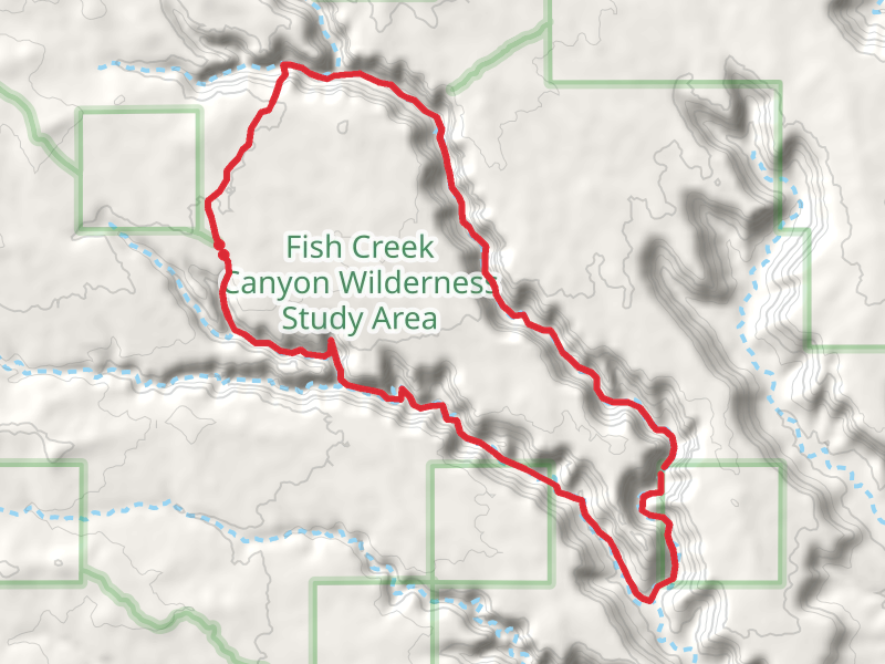 Fish and Owl Loop