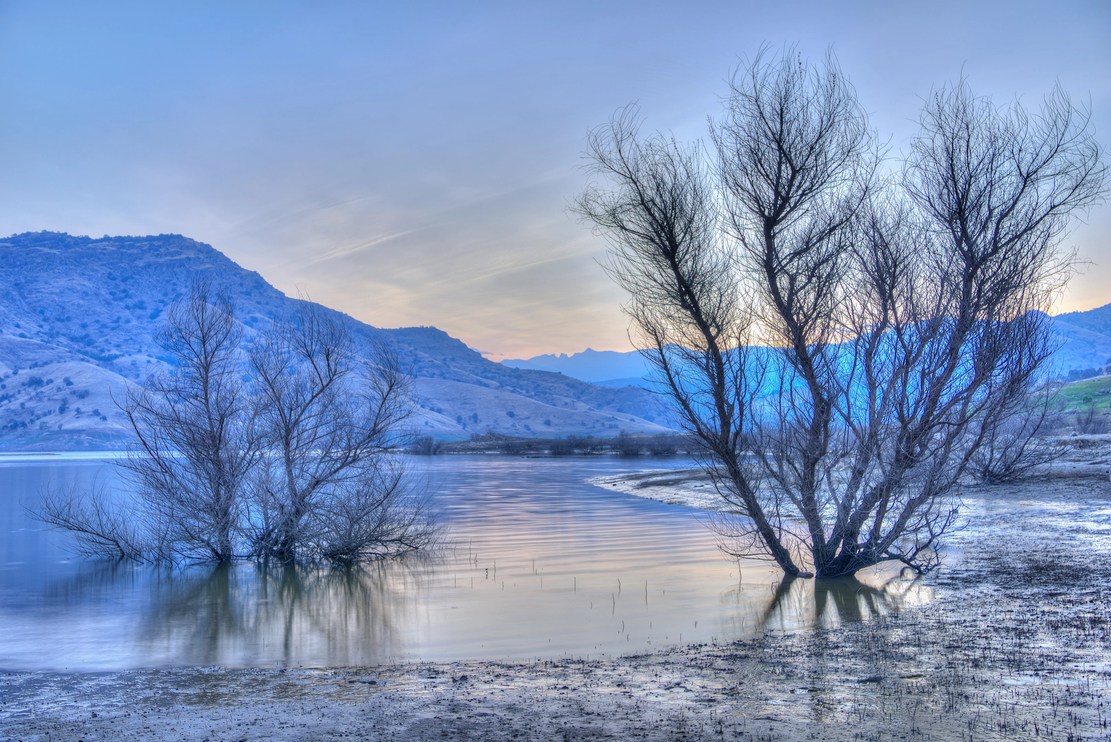 An image depicting the trail Turlock Lake State Recreation Area Walk and its surrounding area.