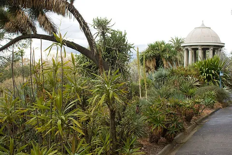 Royal Botanic Gardens Melbourne Walk