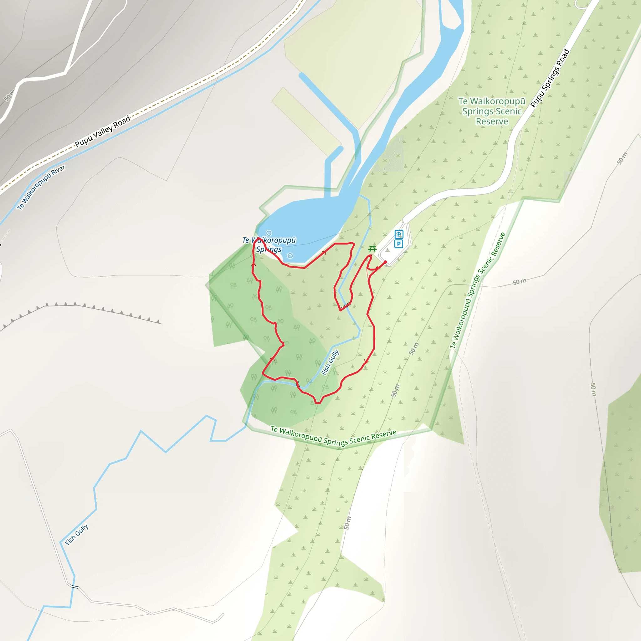 Te Waikoropupū Springs Walk mobile static map