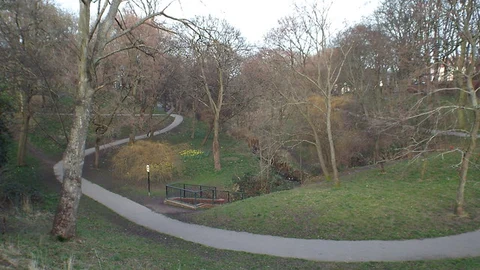 Backhouse Park Loop