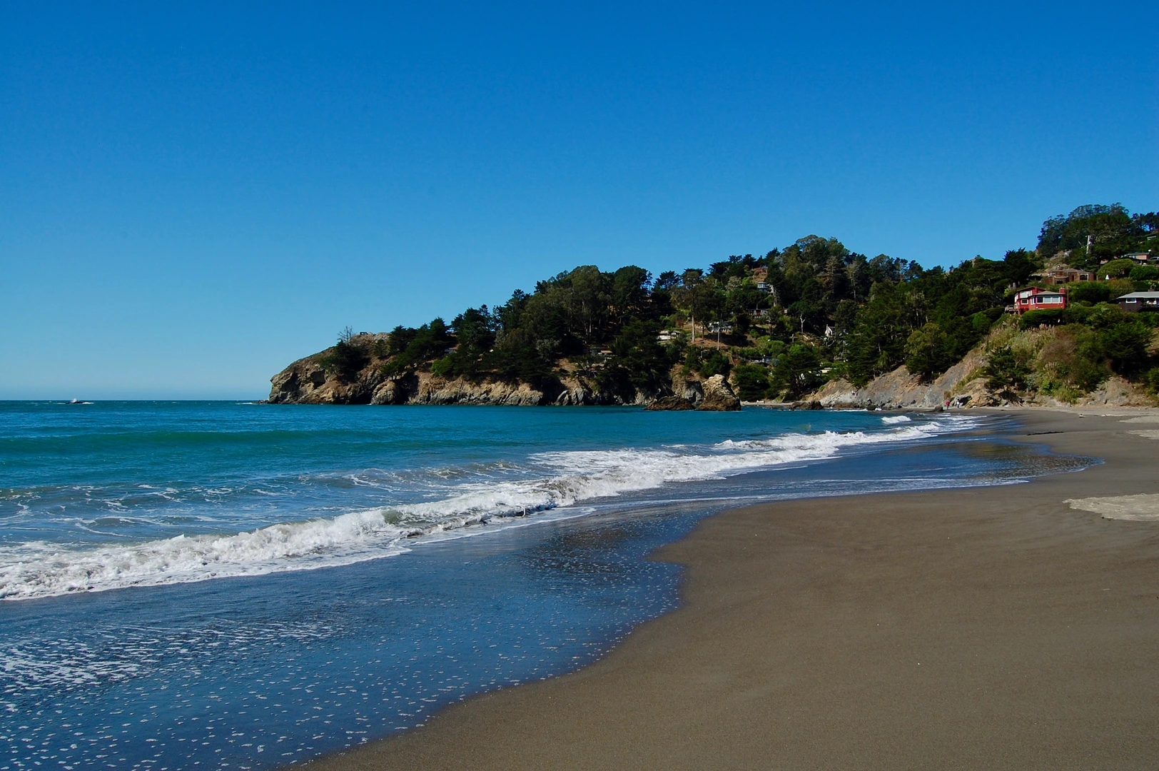 An image depicting the trail Muir Beach via Miwok Trail and its surrounding area.