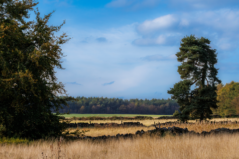 Spelderholt, Oud Reensterveld and Hoenderlose via Noordweg and Waterbergweg