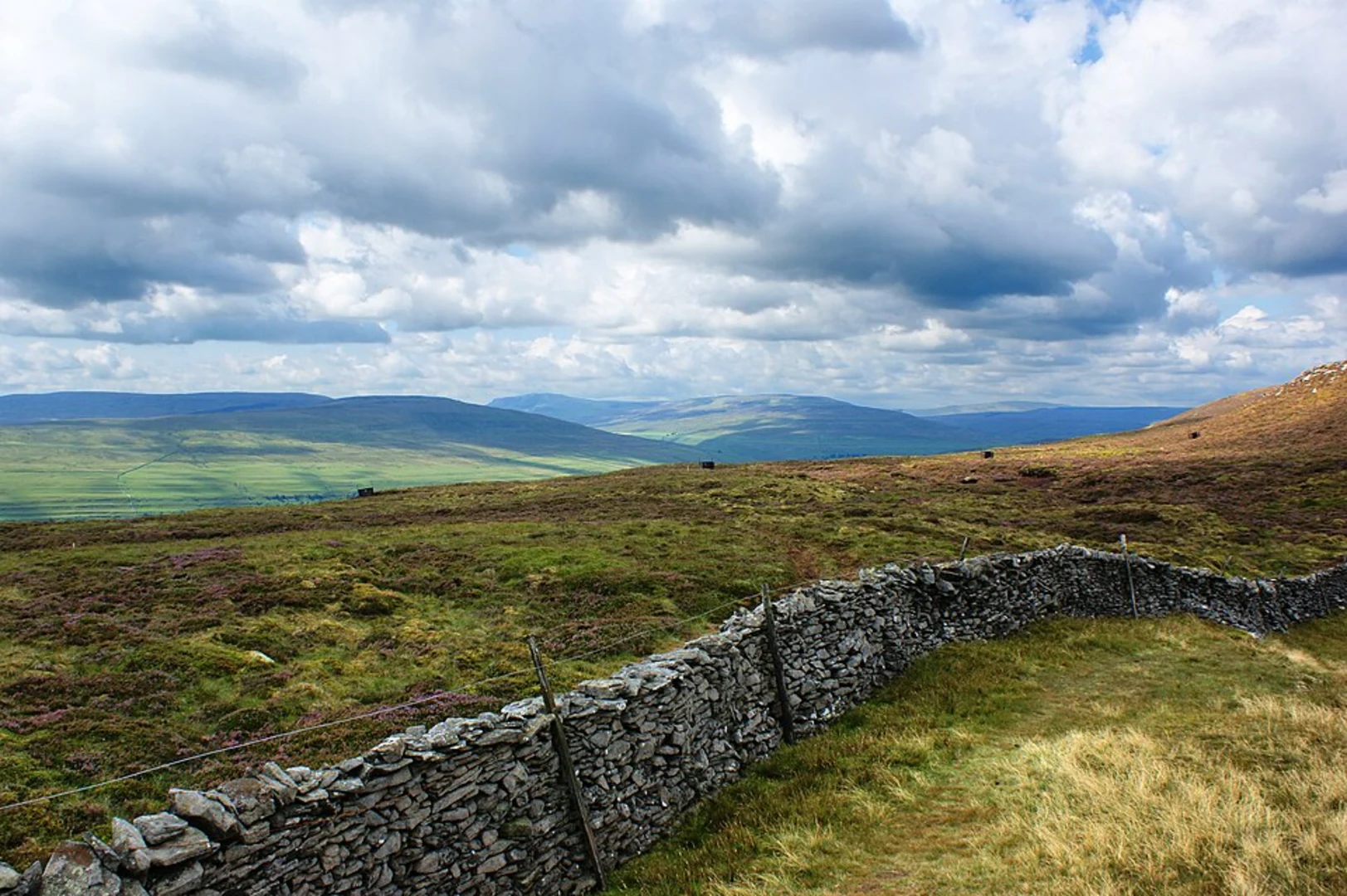 An image depicting the trail Battersby Plantation and Greenhow Bank Loop and its surrounding area.