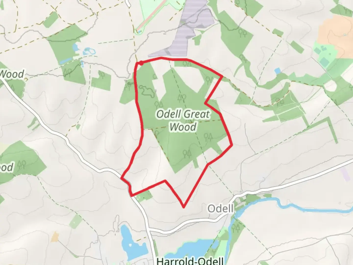 An image depicting the trail Odell Great Wood Loop and its surrounding area.