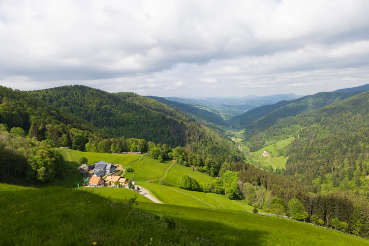 The Columban Way - France - Section 1 From Saint Coulomb to Annegray