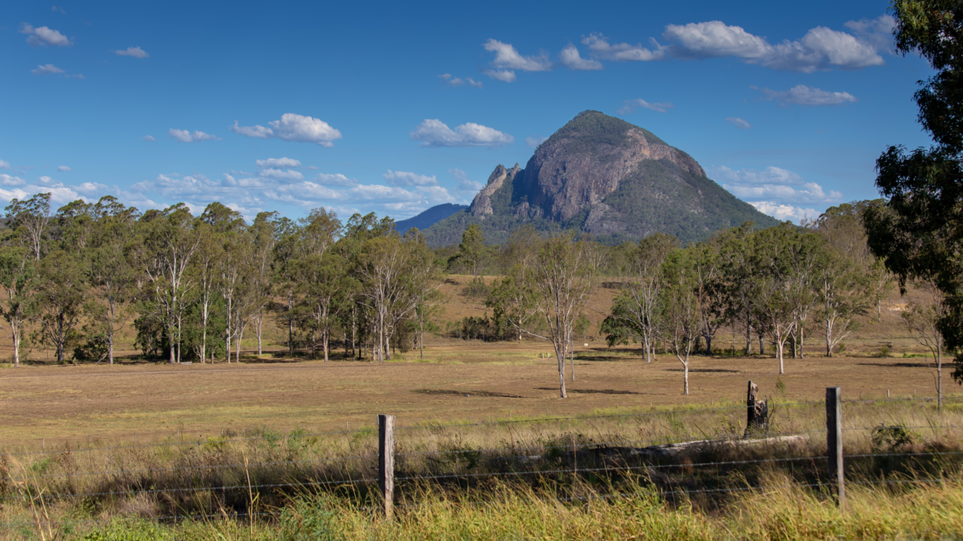 An image depicting the trail Mount Greville Track and its surrounding area.