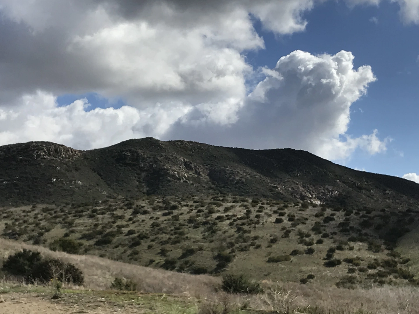 An image depicting the trail North Fortuna Perimeter, North Fortuna Mountain and E-Ticket Starter Kit Loop Trail and its surrounding area.