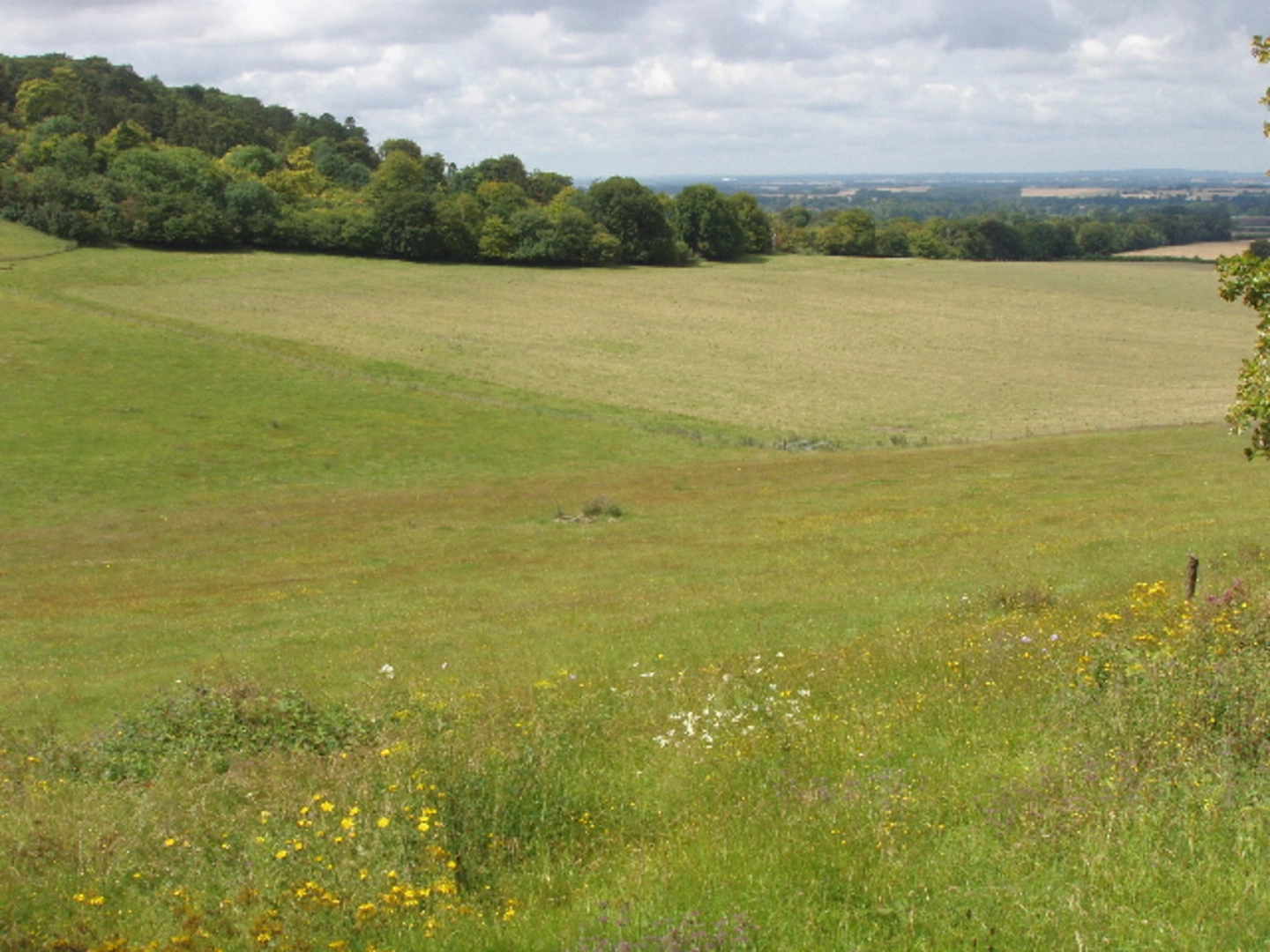 An image depicting the trail The Ridgeway and Cowleaze Wood Walk and its surrounding area.