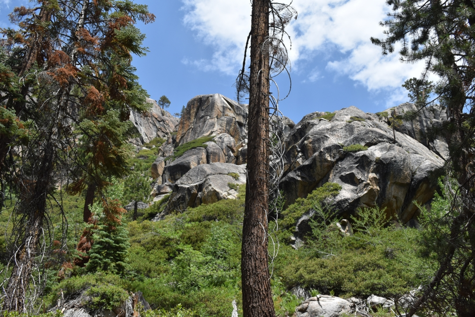 An image depicting the trail Wood - Deer Lake, Piute Lake and Gem Lake via Crabtree Trail and its surrounding area.