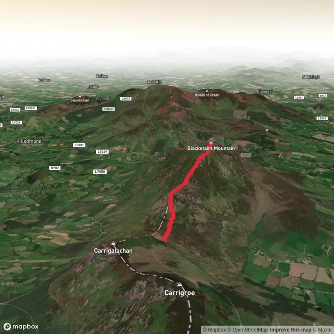 An image depicting the trail Blackstairs forge the Peak Hike and its surrounding area.