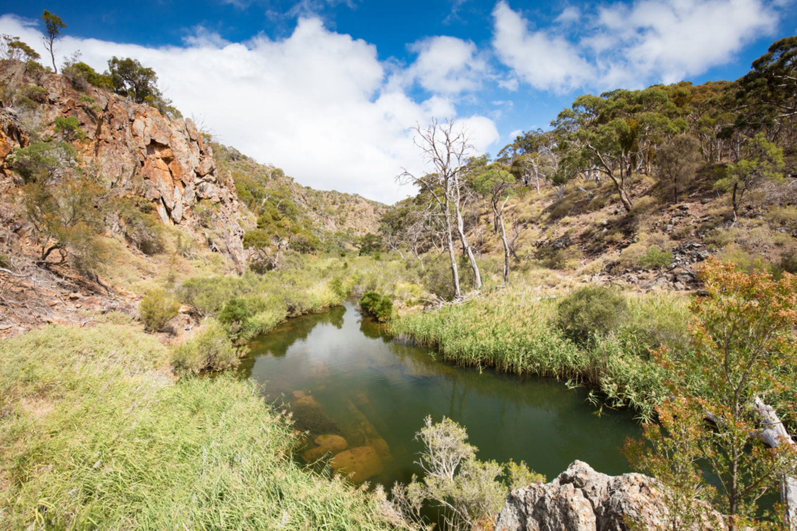 An image depicting the trail Werribee Gorge Circuit Trail via the Shelter Shed and its surrounding area.