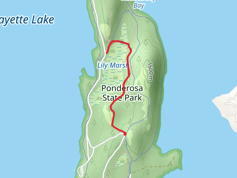 Lilly Marsh Trail