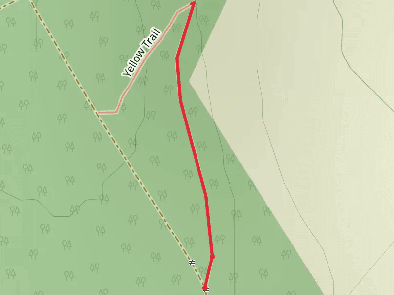 Mullaghmeen Forest Trail