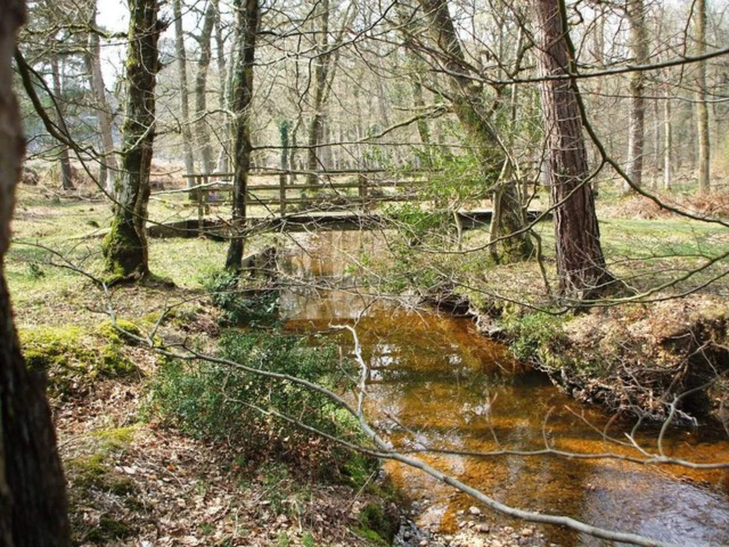 An image depicting the trail Amberwood Inclosure Loop - Fritham and its surrounding area.