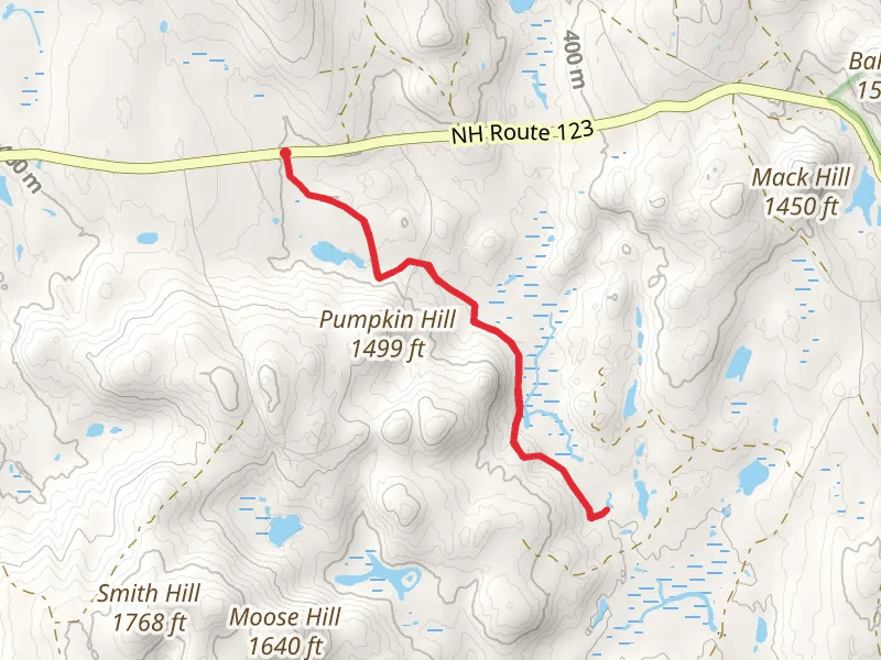 Duck Hole Pond Trail via Forest Road