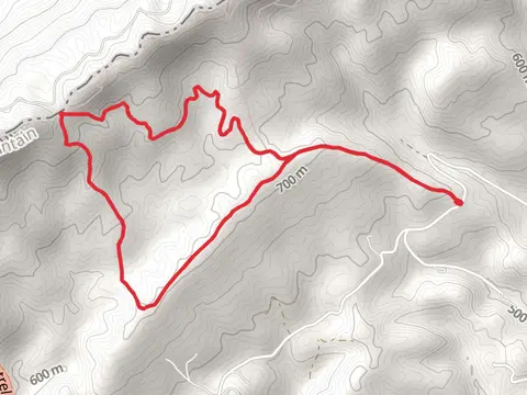 Austin Gap Trail