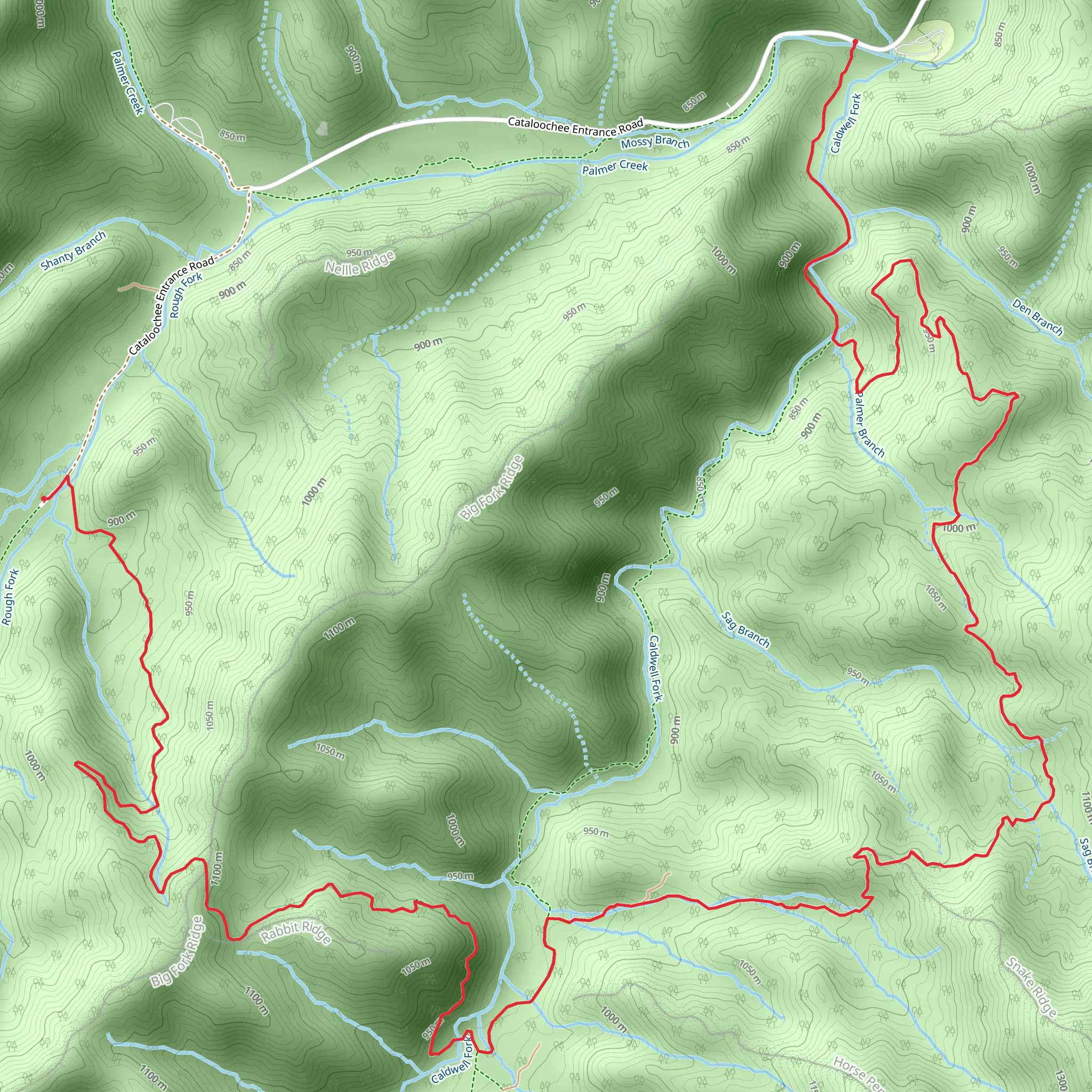 Big Fork Ridge and Boogerman Trail mobile static map